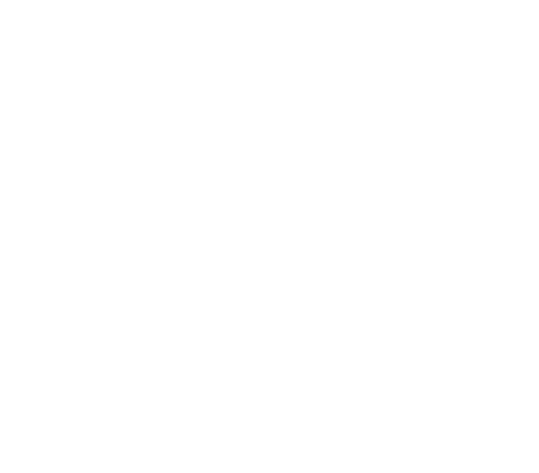 SE Corporation